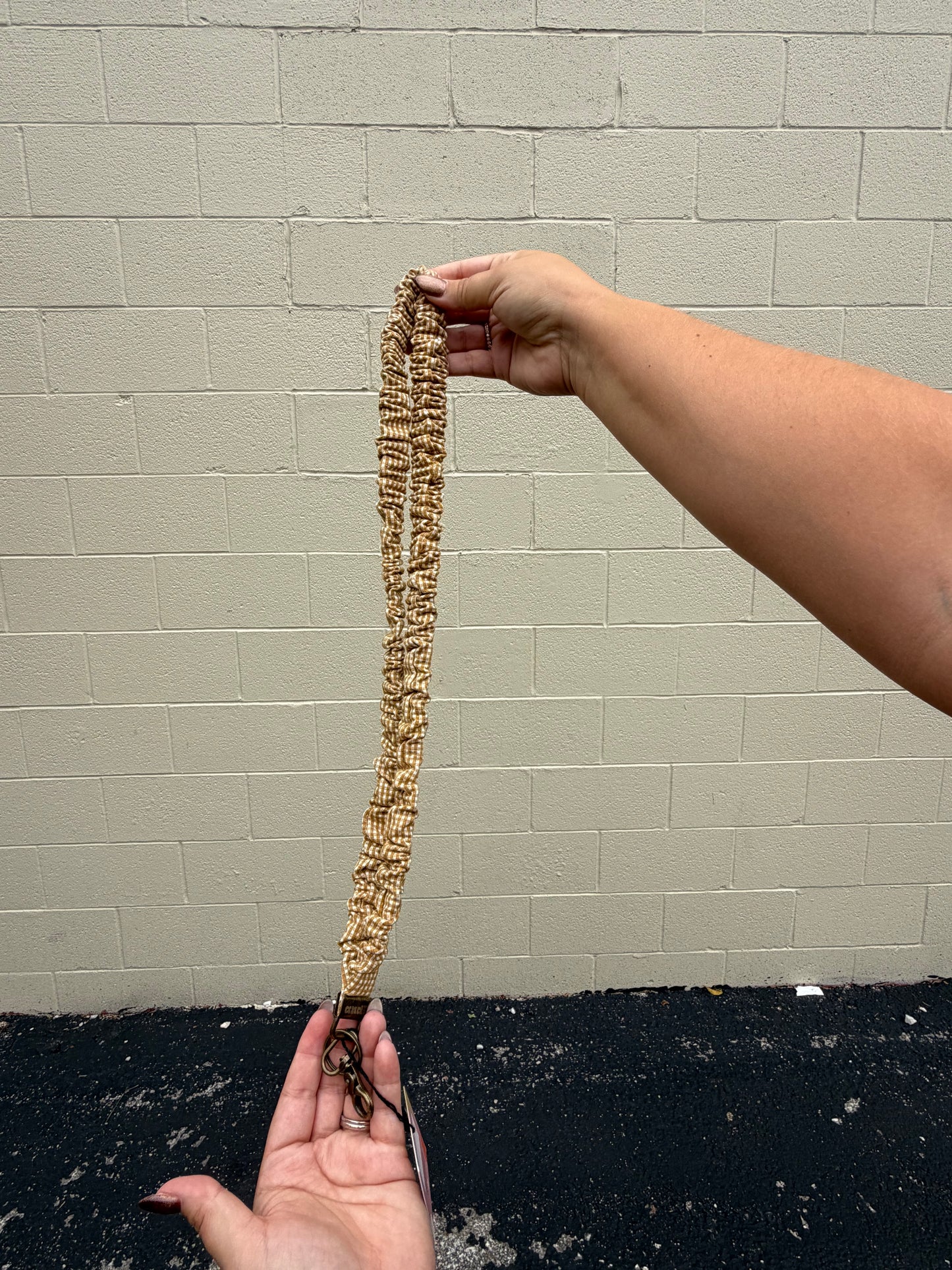 Lanyard
